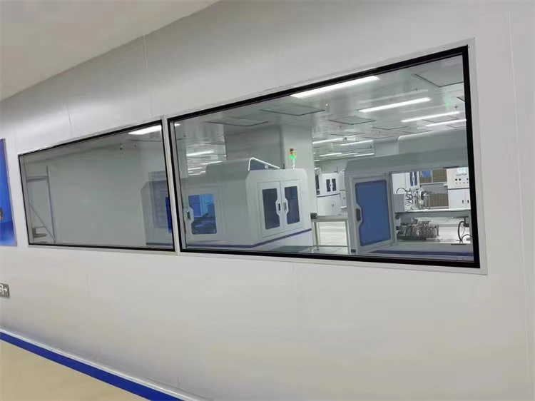 Cleanroom windows