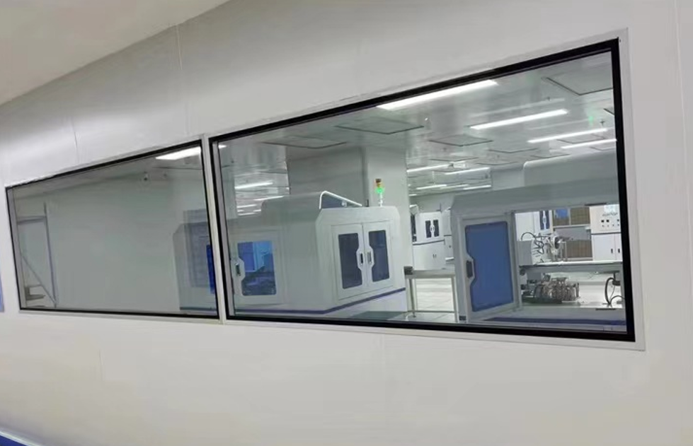 Cleanroom windows