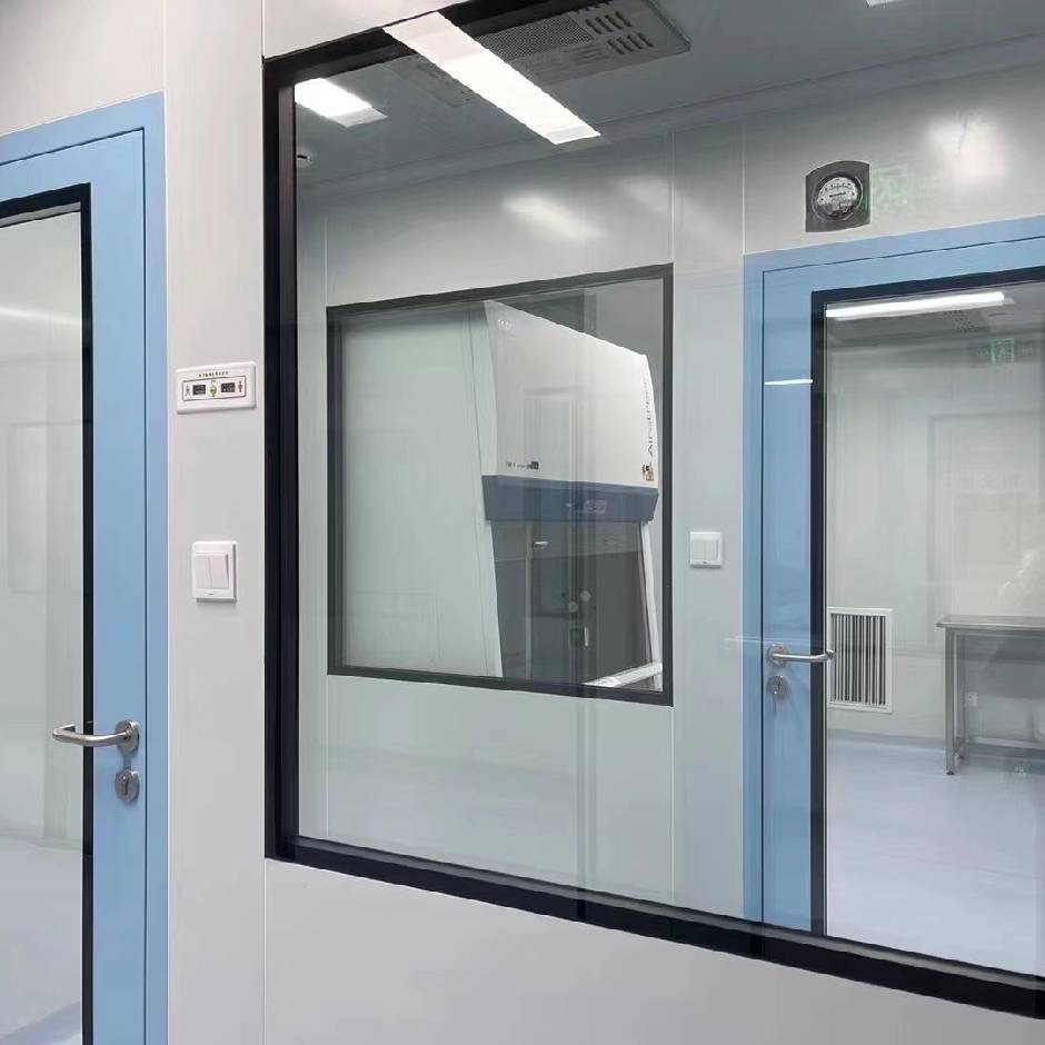Cleanroom windows